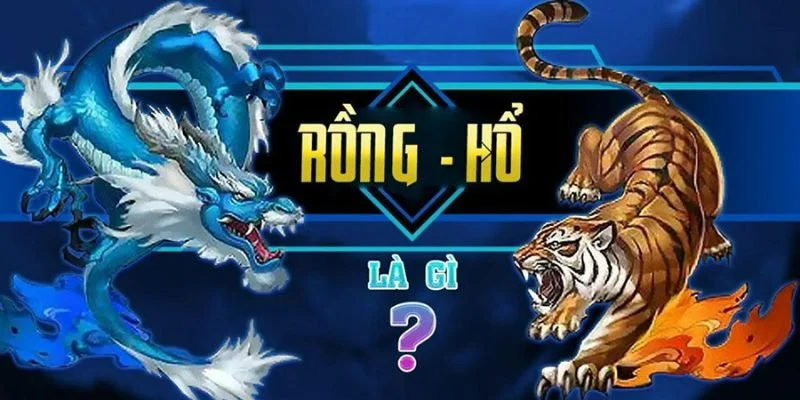 Cách đánh Rồng Hổ với luật chơi siêu đơn giản